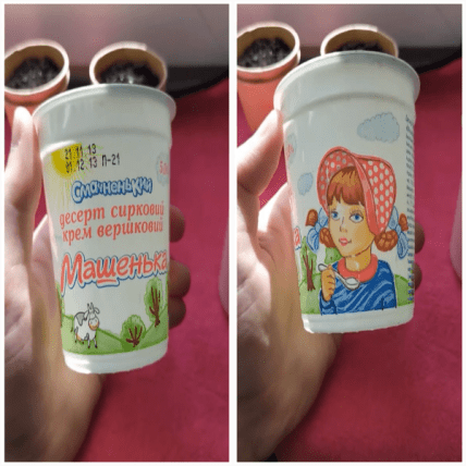 Сирок Машенька 2013 рік