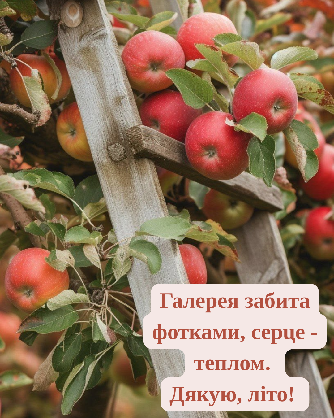цитати про останній день літа - фото 903972