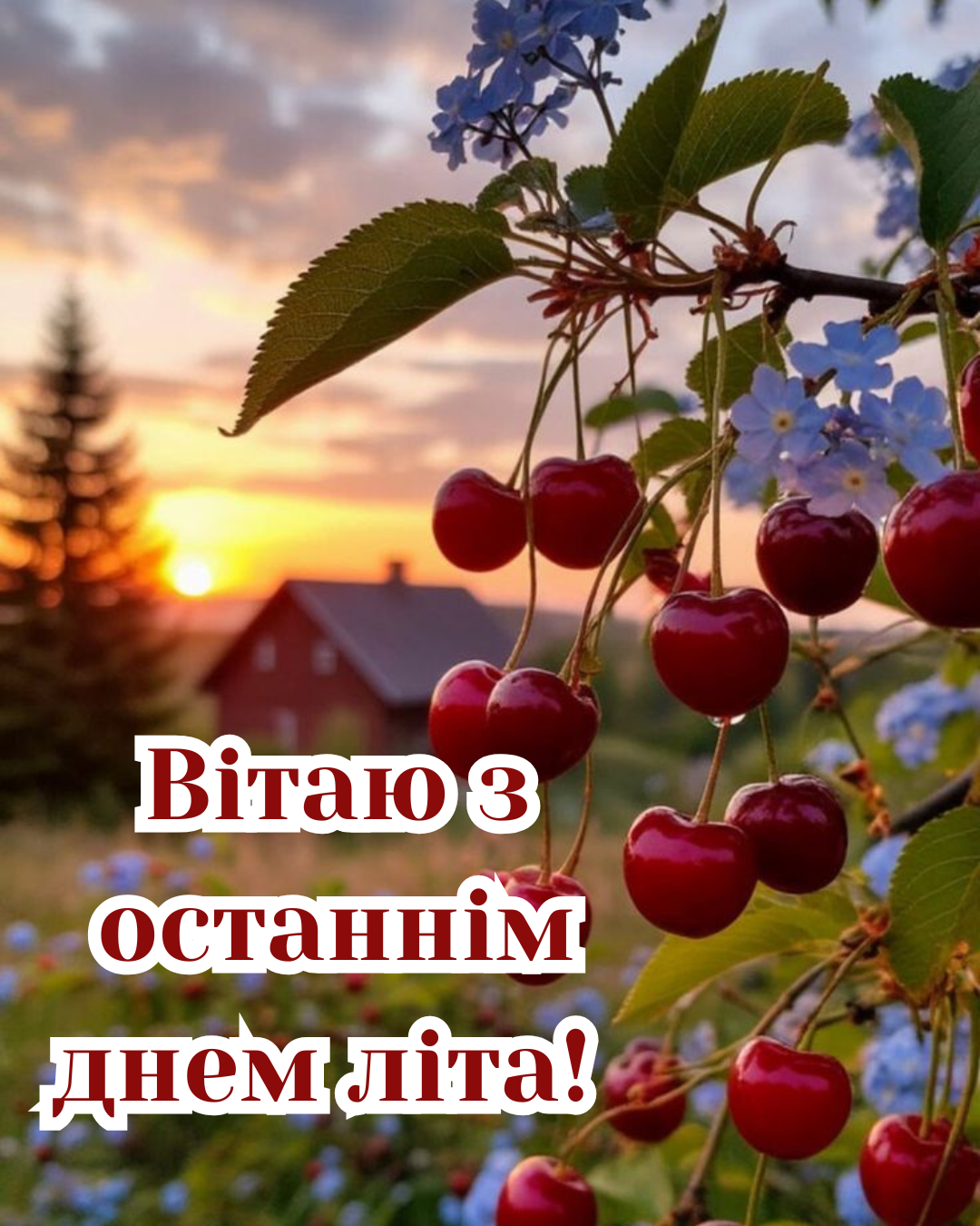 останній день серпня 2026 картинки та привітання - 904007 останній день серпня 2026 картинки та привітання - фото 904007