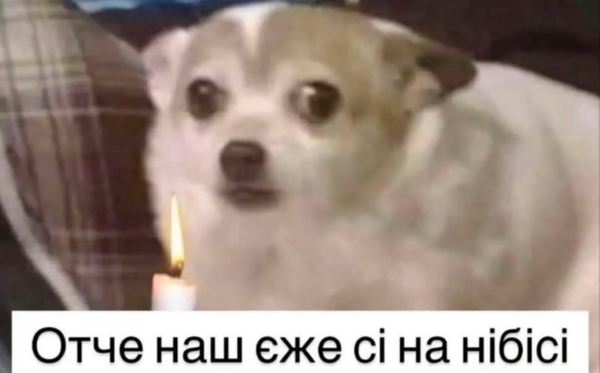Меми з тваринками, які знадобляться кожному в цьому абсурдному житті - фото 904359