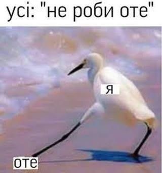 Меми з тваринками, які знадобляться кожному в цьому абсурдному житті - фото 904364