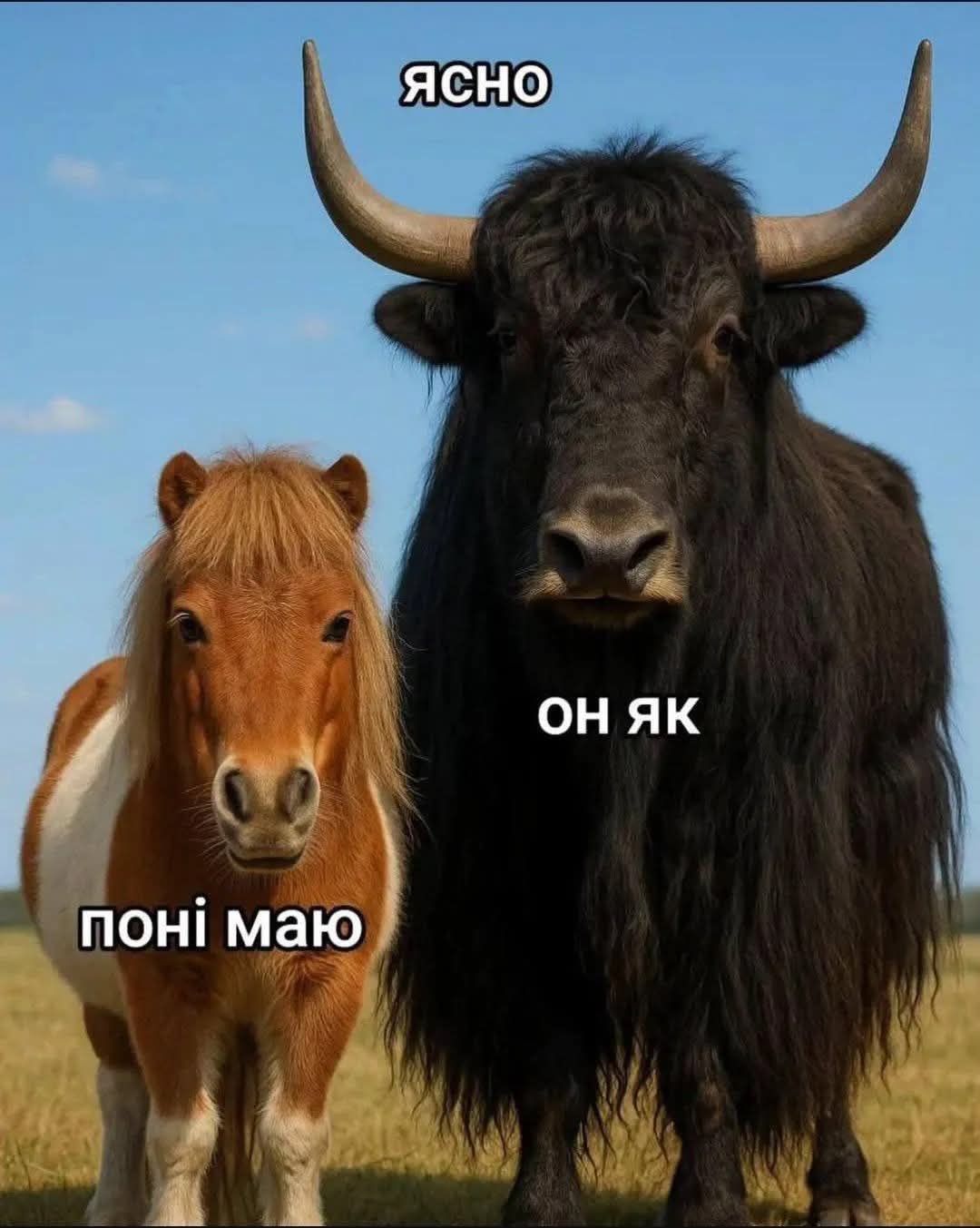 Меми з тваринками, які знадобляться кожному в цьому абсурдному житті - фото 904374