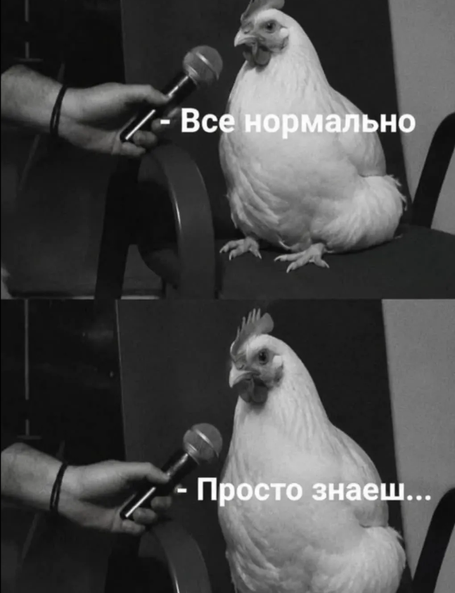 Меми з тваринками, які знадобляться кожному в цьому абсурдному житті - фото 904378