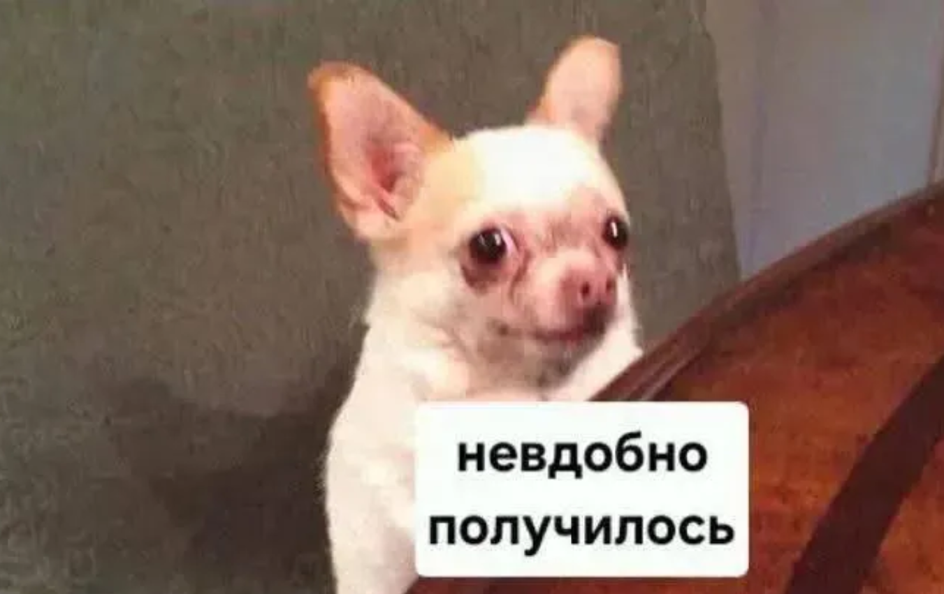 Меми з тваринками, які знадобляться кожному в цьому абсурдному житті - фото 904379