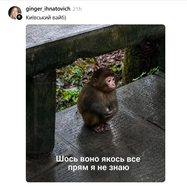 13 тривог за день: кияни знайшли, як пожартувати навіть із цього антирекорду - фото 904611