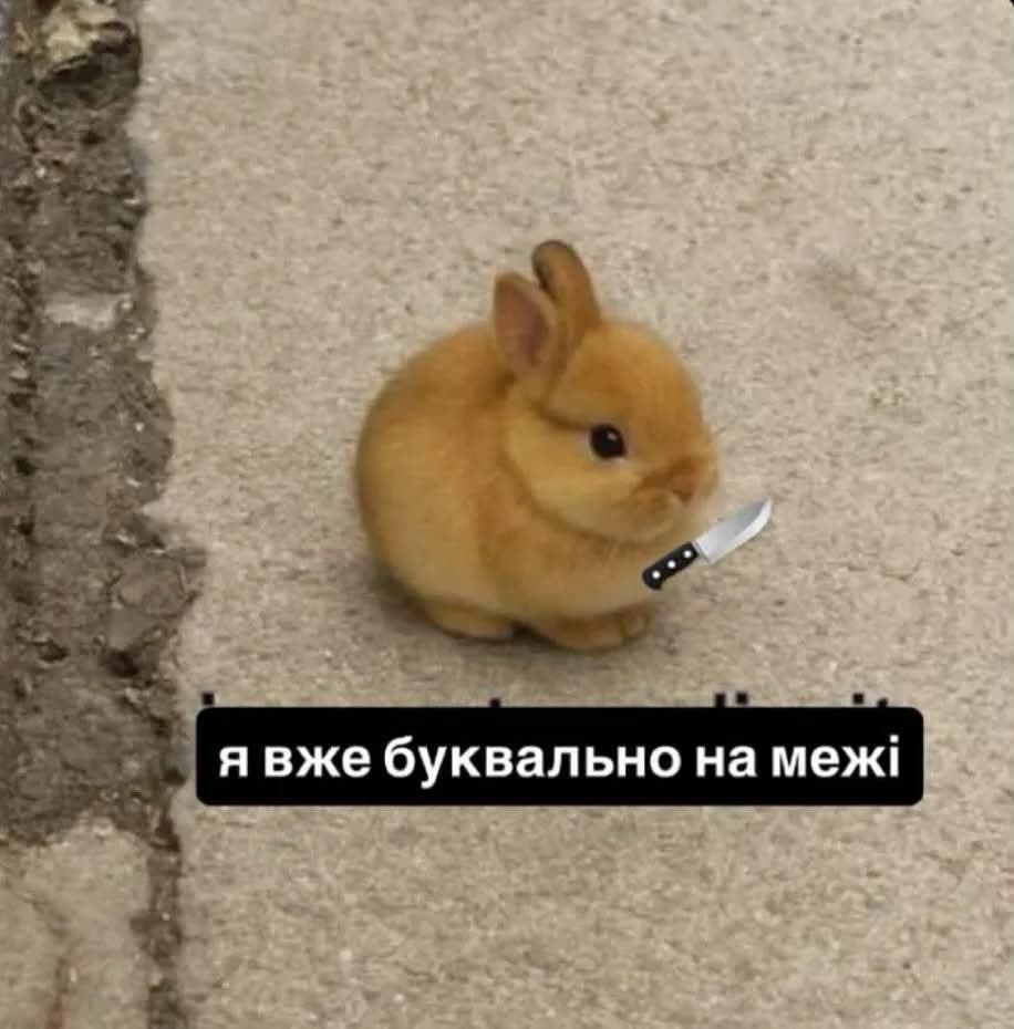 'Все буде добре, але не у нас': Київ та область описують свій стан останніх днів мемами - фото 905072