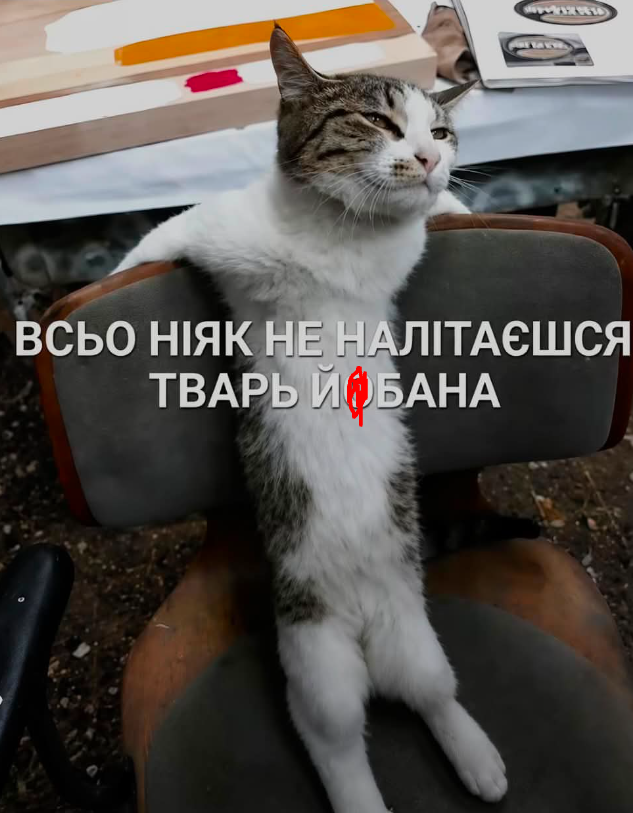 'Все буде добре, але не у нас': Київ та область описують свій стан останніх днів мемами - фото 905075