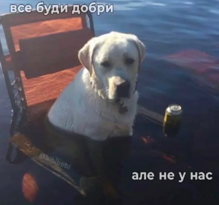 'Все буде добре, але не у нас': Київ та область описують свій стан останніх днів мемами - фото 905076