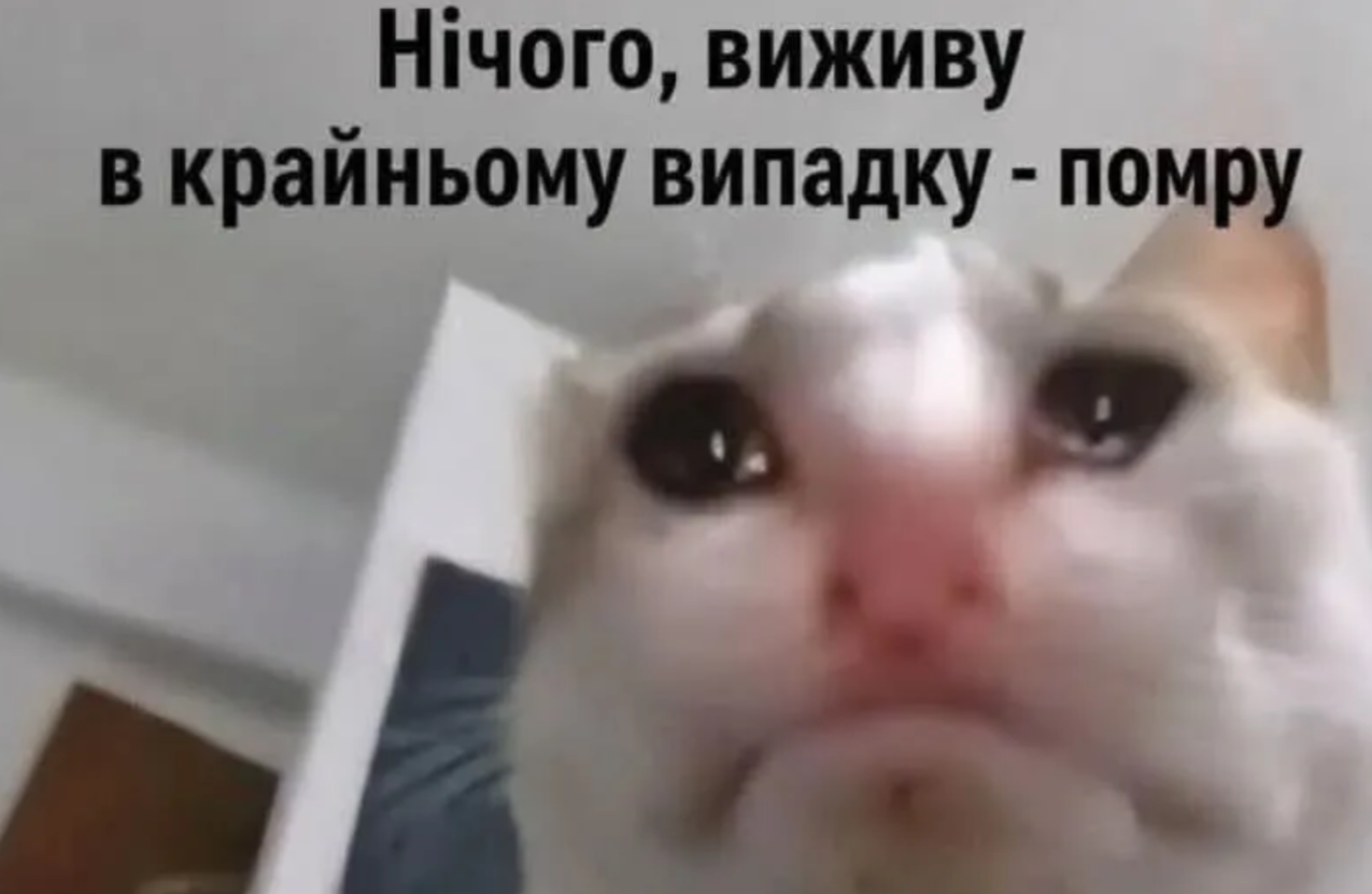 'Все буде добре, але не у нас': Київ та область описують свій стан останніх днів мемами - фото 905077