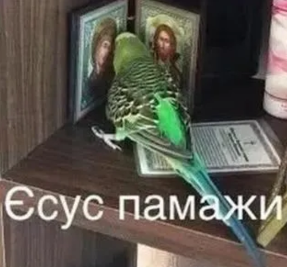 'Все буде добре, але не у нас': Київ та область описують свій стан останніх днів мемами - фото 905084