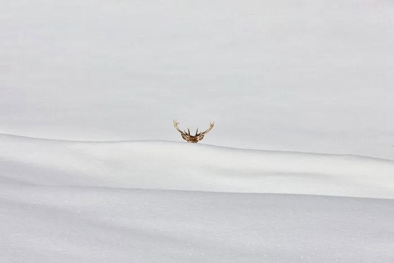 30 фото з Minimalist Photography Awards 2026, які доводять, що краса - у простоті - фото 905926