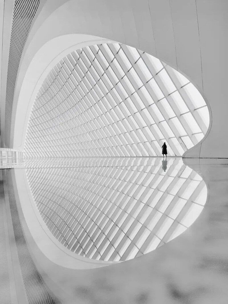 30 фото з Minimalist Photography Awards 2026, які доводять, що краса - у простоті - фото 905936