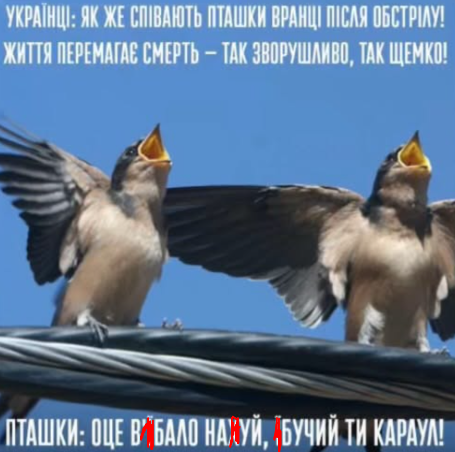 'Боже, памажи': меми, які описують життя українців під час війни - фото 906224