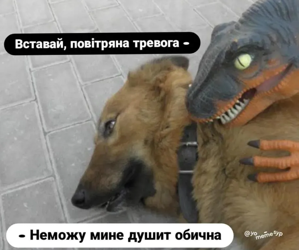 'Боже, памажи': меми, які описують життя українців під час війни - фото 906230