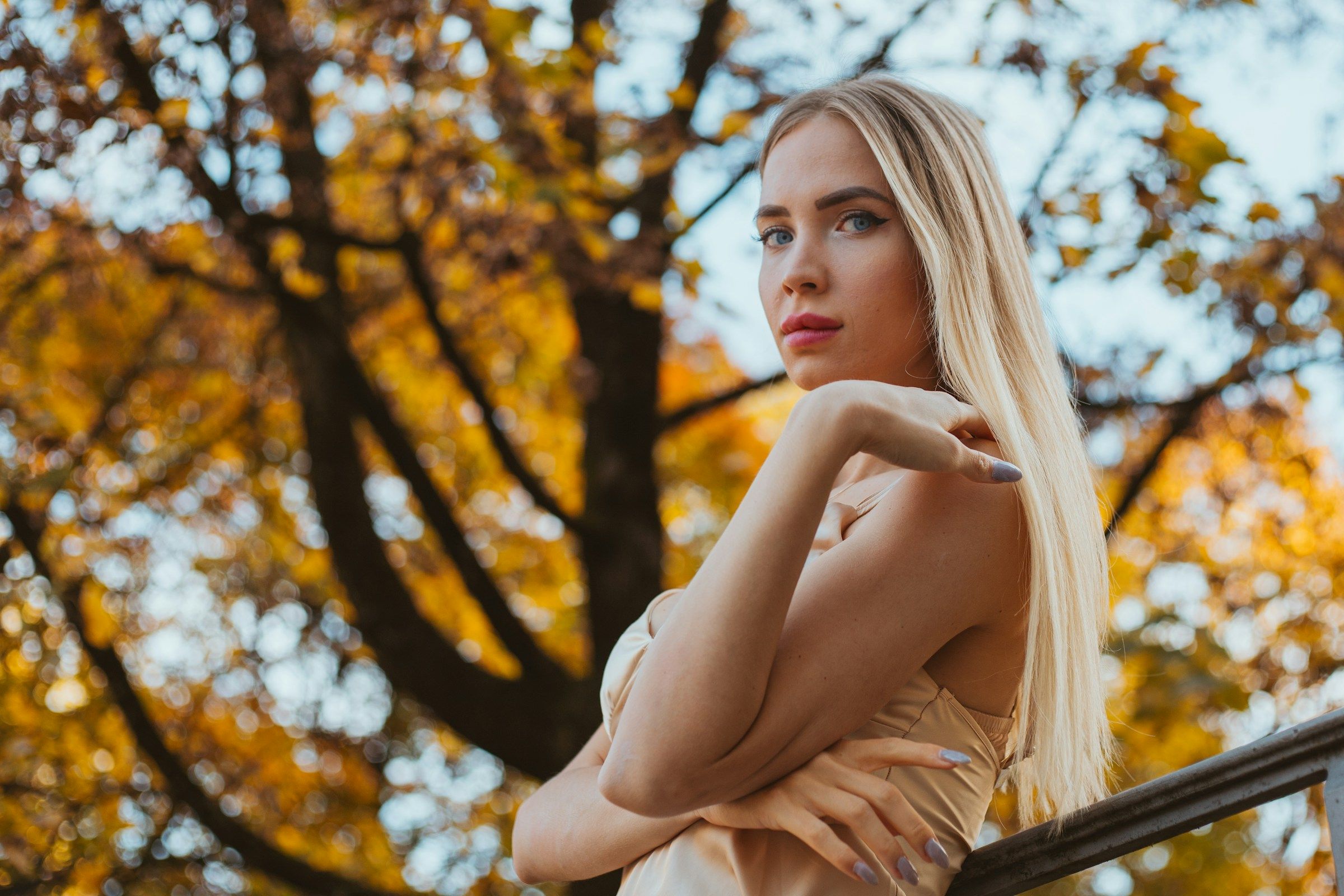 Гороскоп для Тельця, Лева, Терезів, Козерога та Риби Гороскоп для Тельця, Лева, Терезів, Козерога та Риби