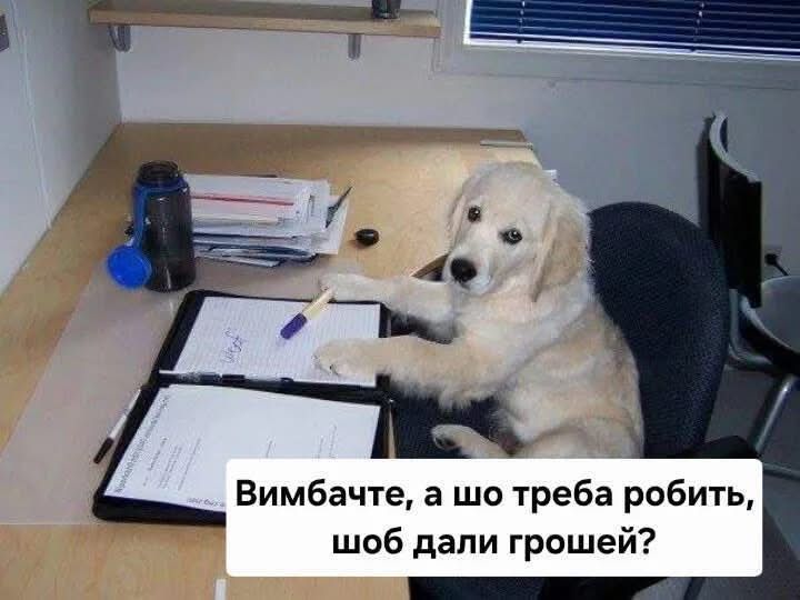'Клята праця, як тебе працювати': українці зібрали найкращі меми для робочих чатів - фото 906732