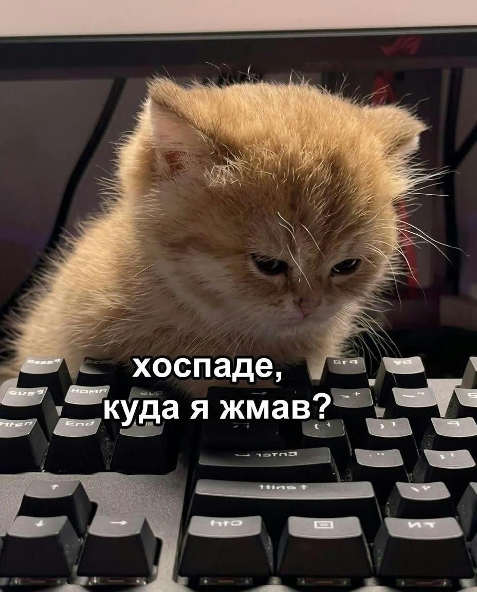 'Клята праця, як тебе працювати': українці зібрали найкращі меми для робочих чатів - фото 906743