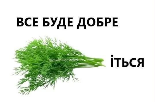 Дипломатія по-українськи: найкращі меми для неформальних переговорів - фото 907503