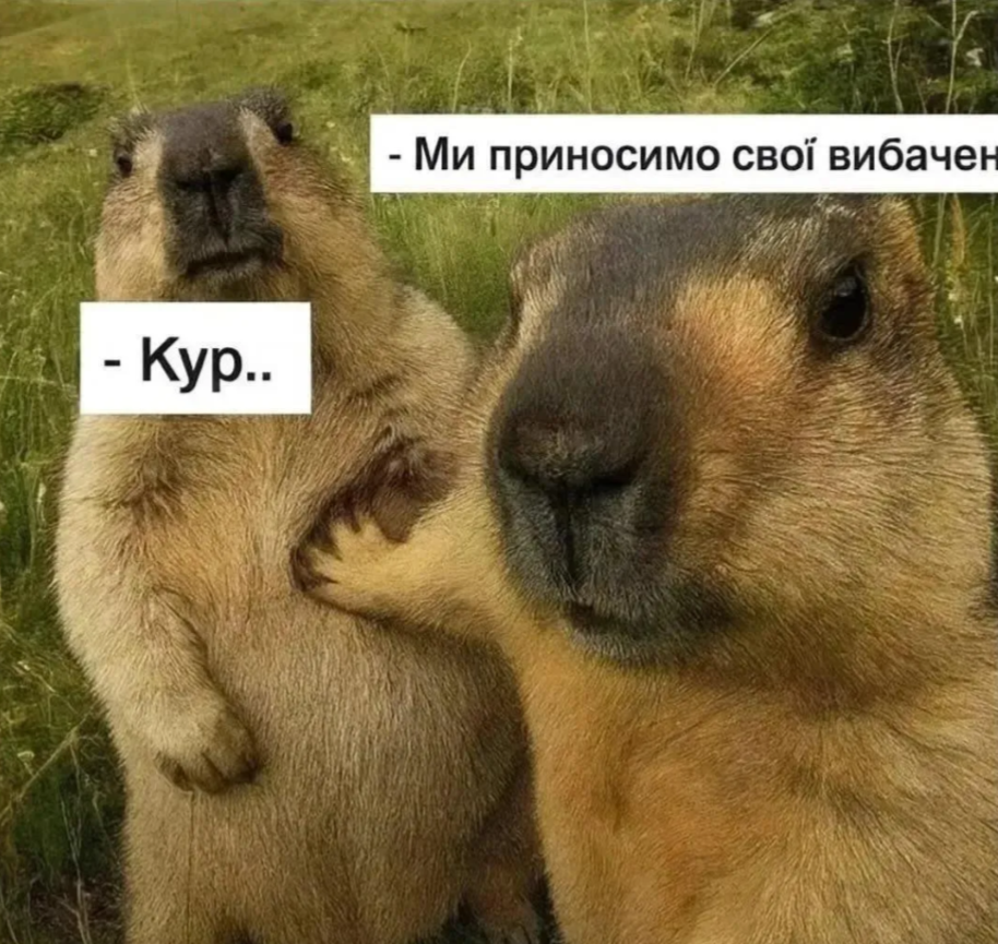 Дипломатія по-українськи: найкращі меми для неформальних переговорів - фото 907524