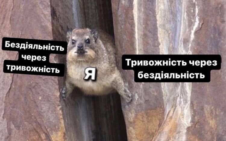 Магній має врятувати нас усіх: меми про тривожність, істерики та життєву дурку - фото 909192