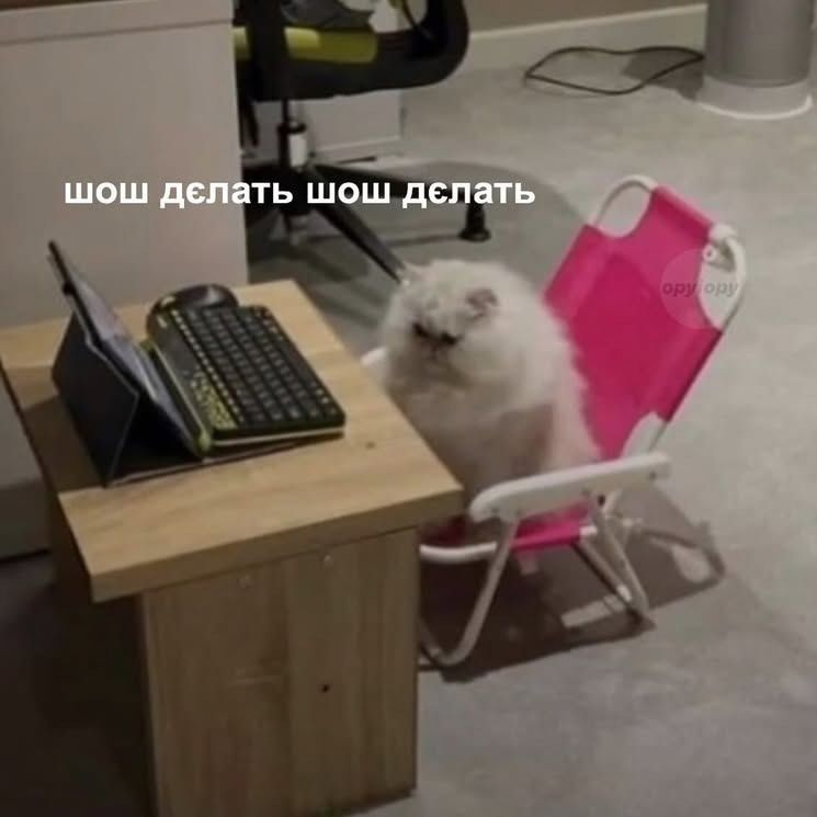 Магній має врятувати нас усіх: меми про тривожність, істерики та життєву дурку - фото 909193