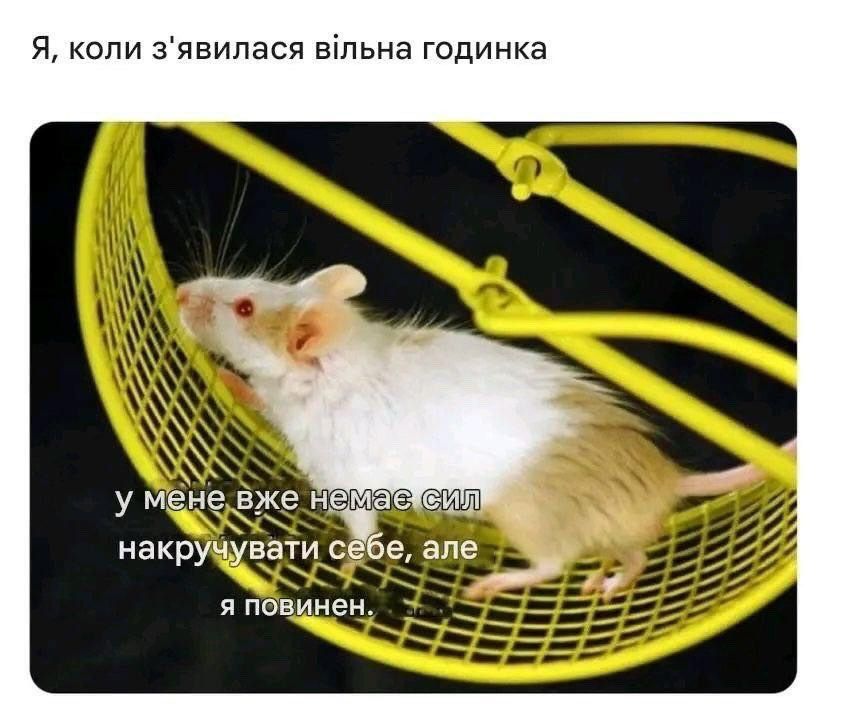Магній має врятувати нас усіх: меми про тривожність, істерики та життєву дурку - фото 909196