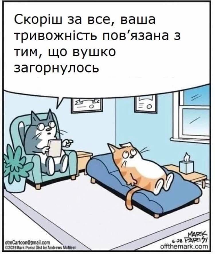 Магній має врятувати нас усіх: меми про тривожність, істерики та життєву дурку - фото 909197