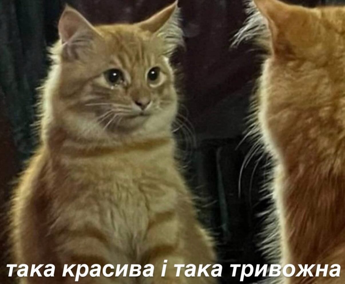 Магній має врятувати нас усіх: меми про тривожність, істерики та життєву дурку - фото 909198