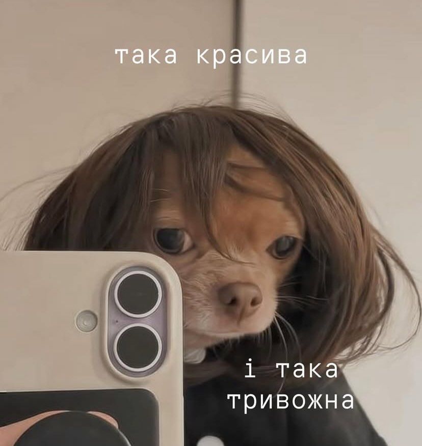 Магній має врятувати нас усіх: меми про тривожність, істерики та життєву дурку - фото 909200