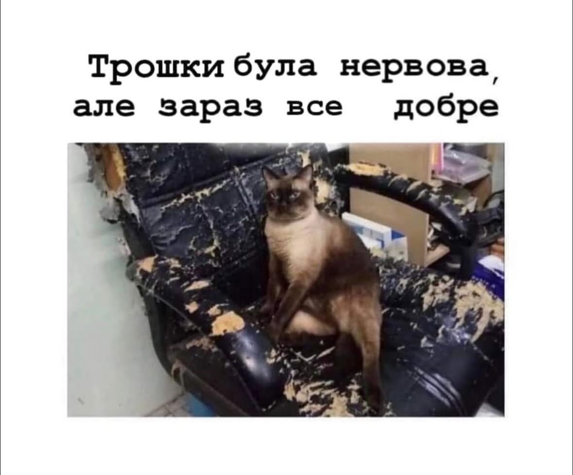 Магній має врятувати нас усіх: меми про тривожність, істерики та життєву дурку - фото 909201