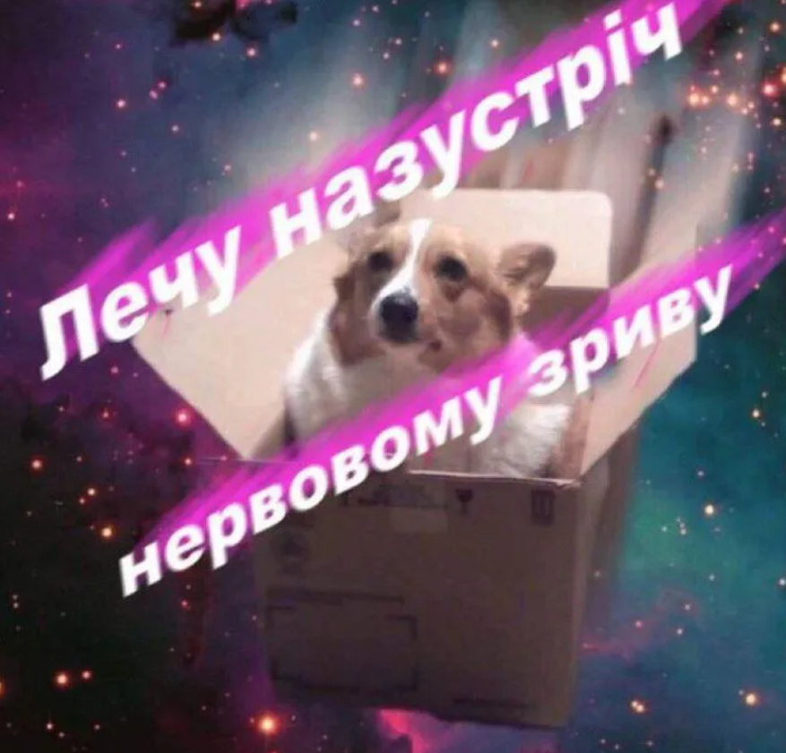 Магній має врятувати нас усіх: меми про тривожність, істерики та життєву дурку - фото 909206