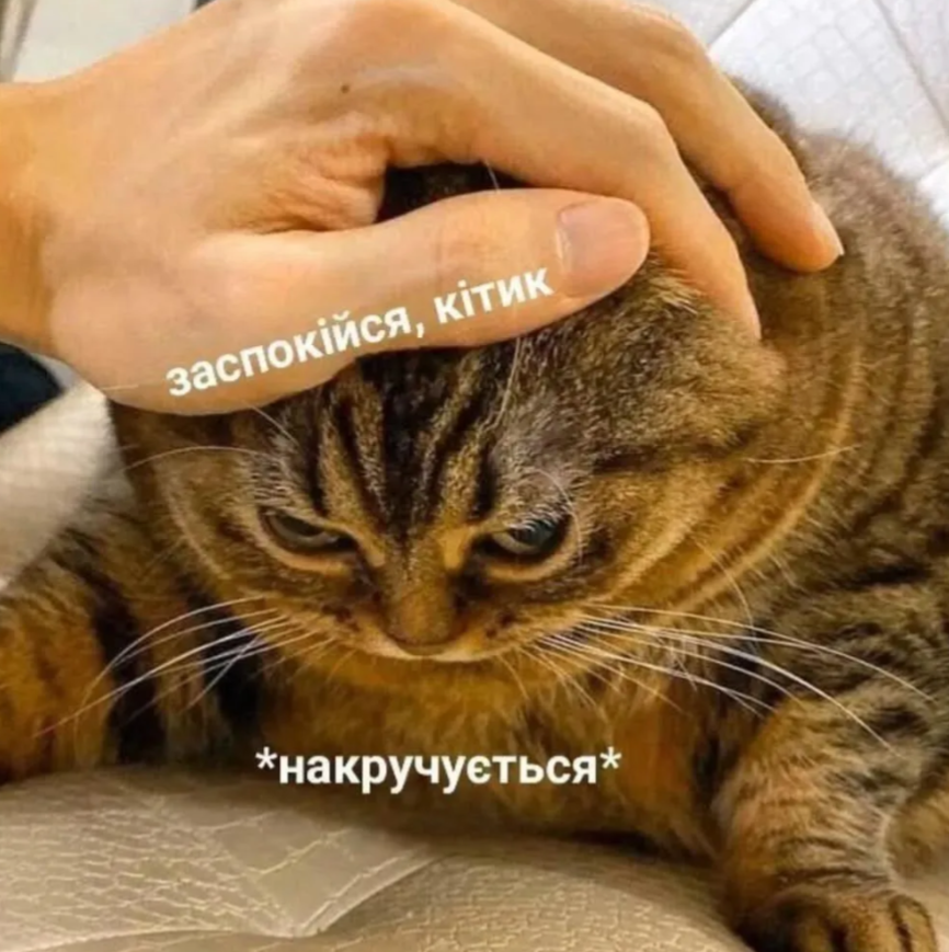 Магній має врятувати нас усіх: меми про тривожність, істерики та життєву дурку - фото 909207