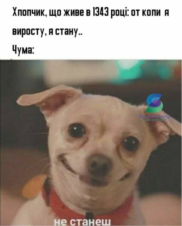 Інтелектуальні меми для тих, хто цінує тонкий гумор - фото 909742