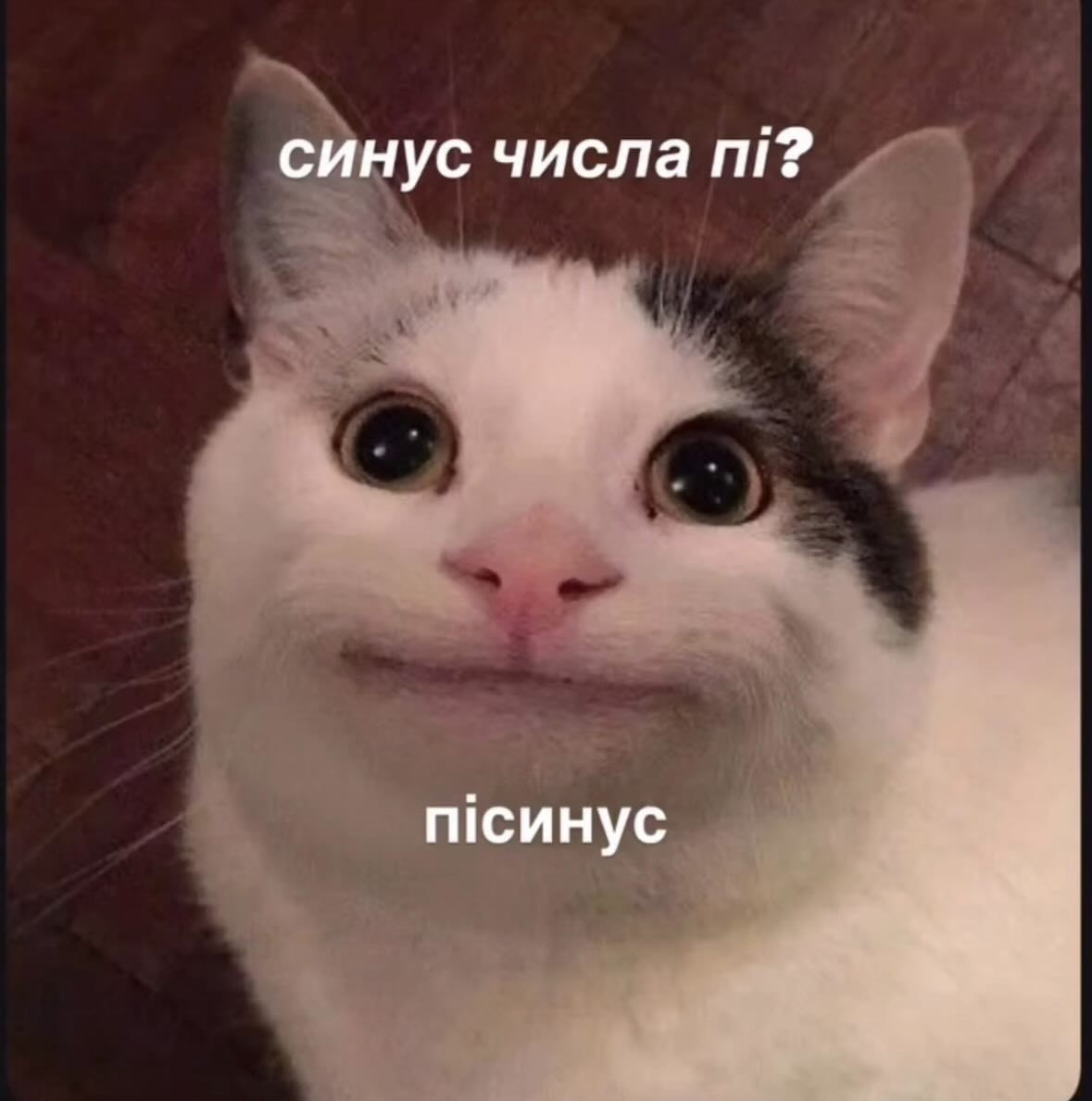 Інтелектуальні меми для тих, хто цінує тонкий гумор - фото 909744