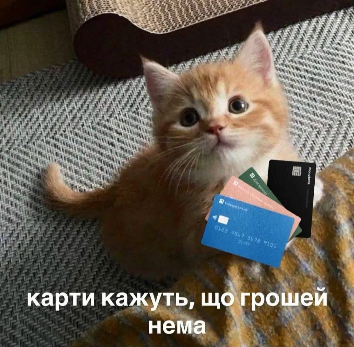 'Казна пустіє, мілорд': меми про гроші і те, як їх просити, коли вони закінчилися 'Казна пустіє, мілорд': меми про гроші і те, як їх просити, коли вони закінчилися