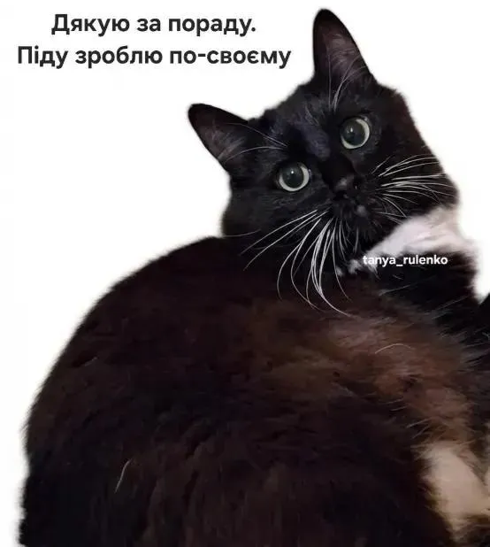 Меми про роботу, щоб скинути у чатик з колегами - 911859 Меми про роботу, щоб скинути у чатик з колегами - фото 911859