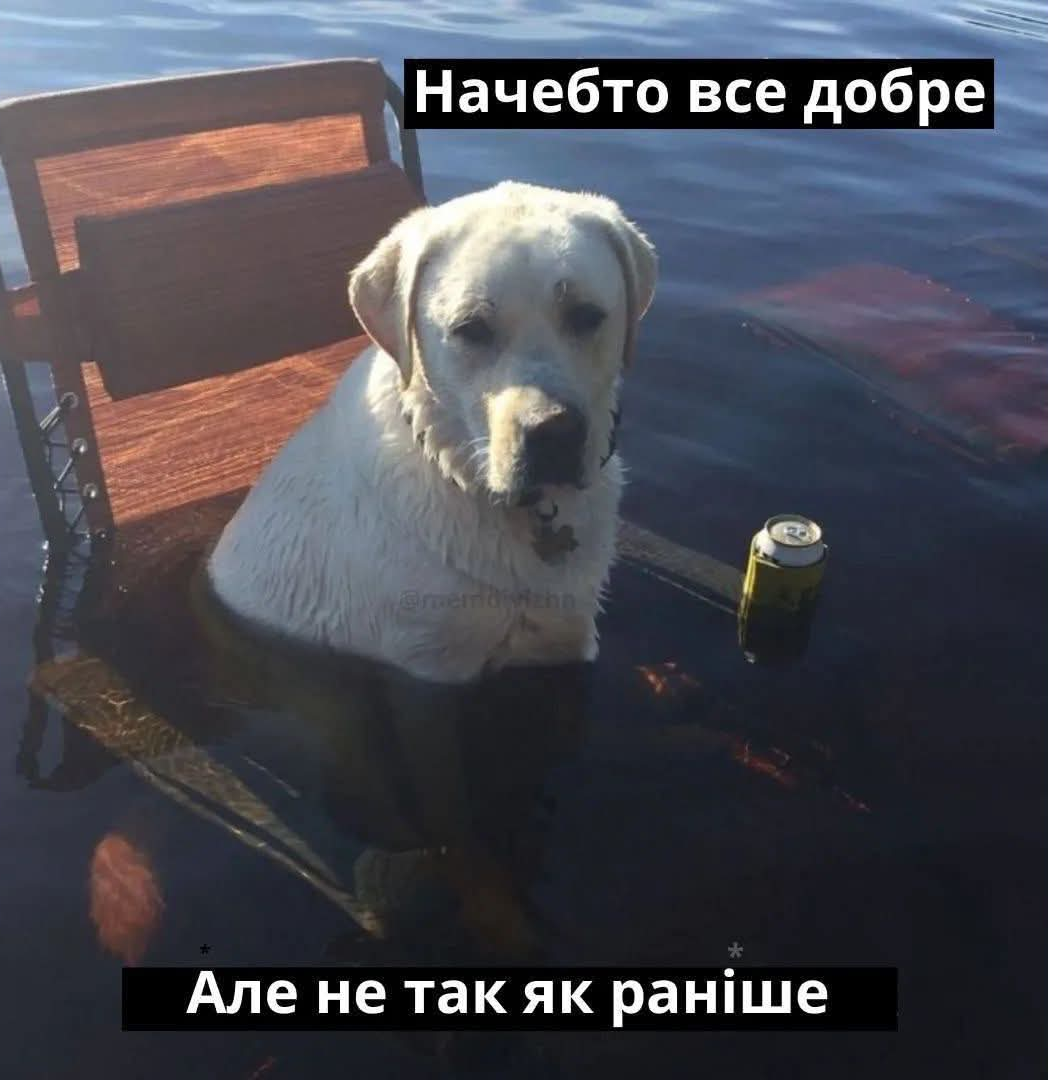 Меми про роботу, щоб скинути у чатик з колегами - 911866 Меми про роботу, щоб скинути у чатик з колегами - фото 911866