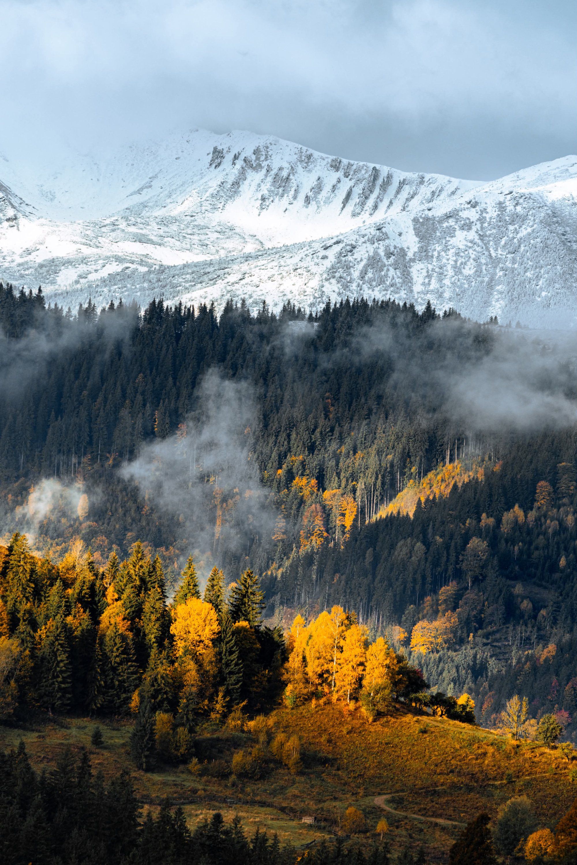 Український фотограф показав осінню красу Карпат - ці фото пахнуть теплом і затишком - 913695 Український фотограф показав осінню красу Карпат - ці фото пахнуть теплом і затишком - фото 913695