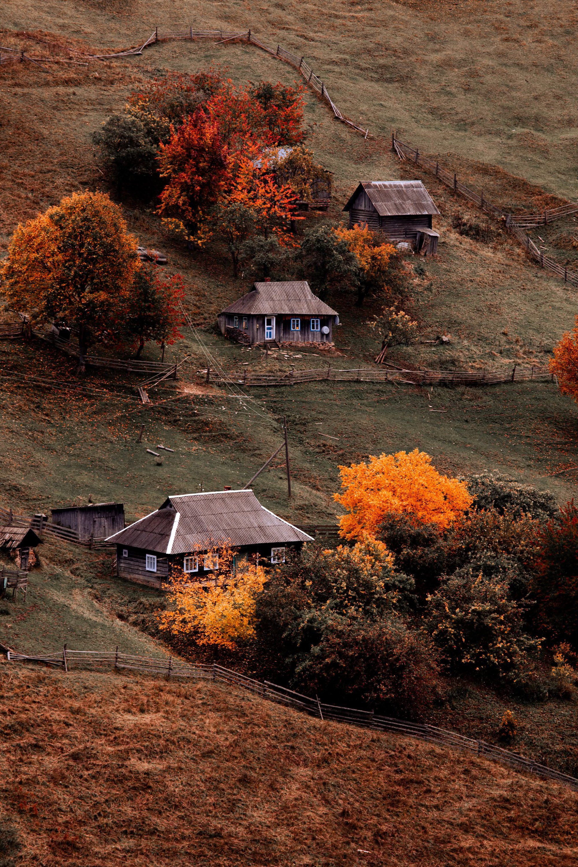 Український фотограф показав осінню красу Карпат - ці фото пахнуть теплом і затишком - 913698 Український фотограф показав осінню красу Карпат - ці фото пахнуть теплом і затишком - фото 913698